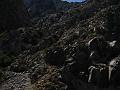 165-6568_IMG