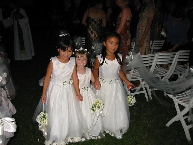 181-8181_IMG.jpg