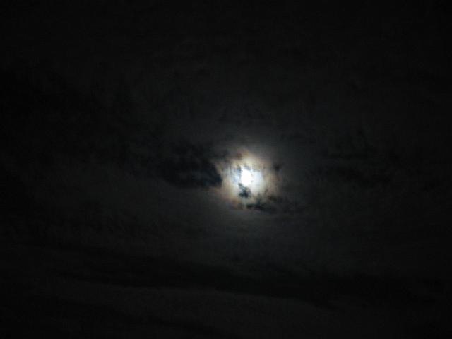 182-8203_IMG.jpg
