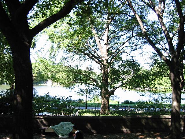 182-8255_IMG.jpg