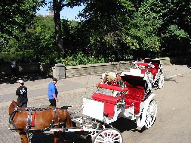 182-8261_IMG.jpg