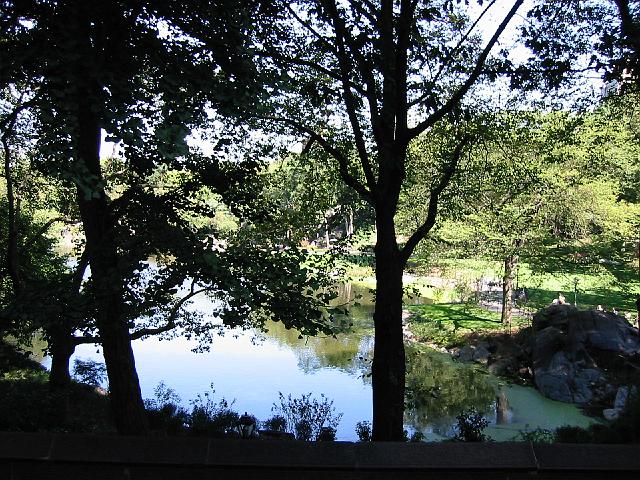 182-8264_IMG.jpg