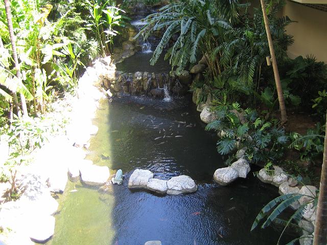 IMG_1269.jpg