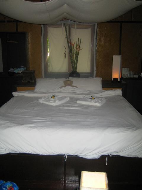 IMG_1286.jpg