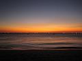 IMG_1336