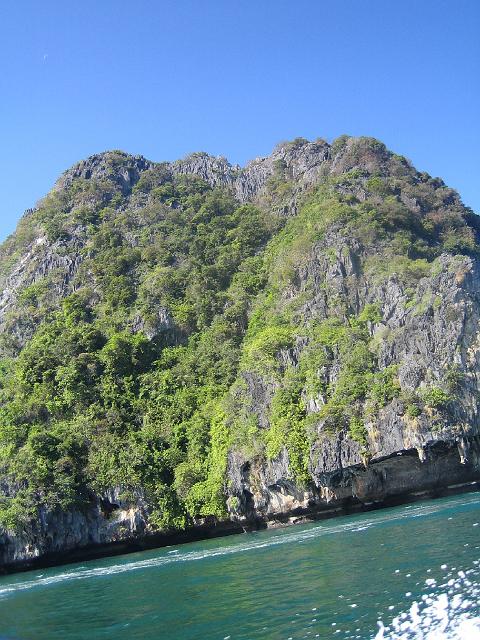 IMG_1345.jpg