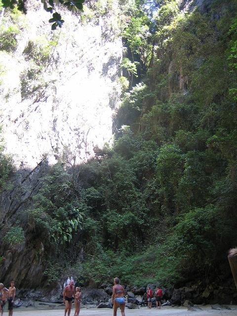 IMG_1356.jpg