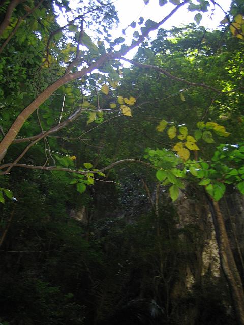 IMG_1357.jpg