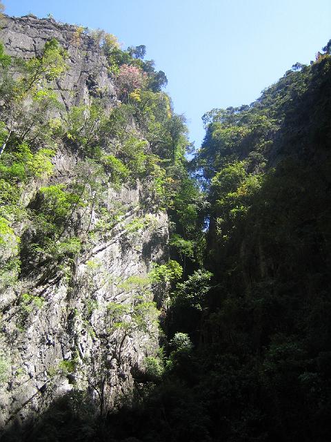 IMG_1362.jpg