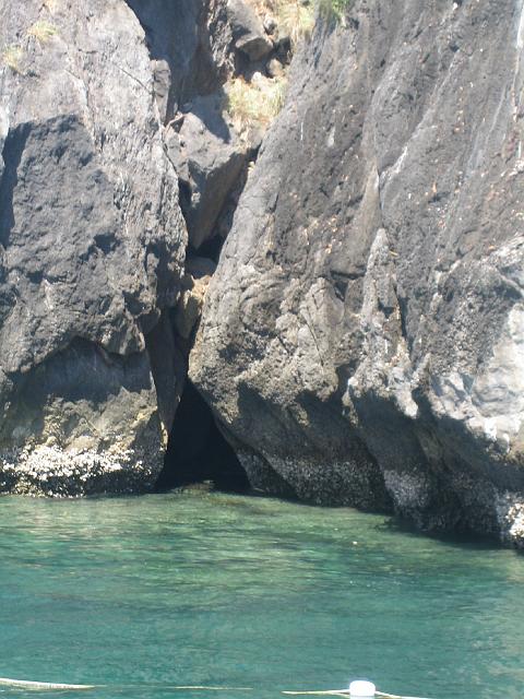 IMG_1389.jpg