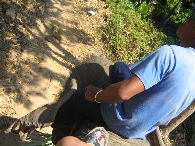 IMG_1406.jpg