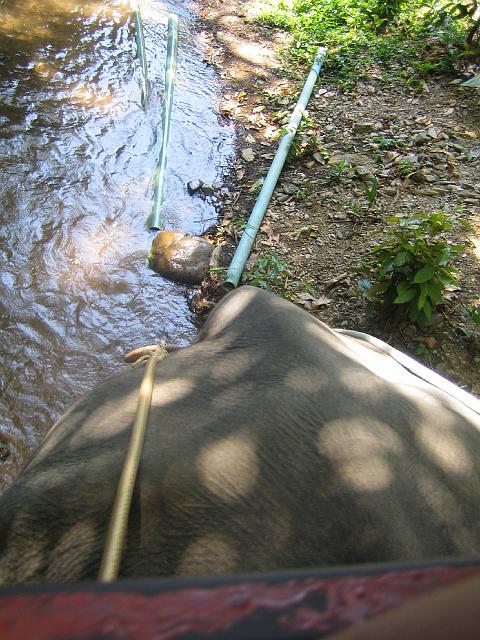 IMG_1412.jpg