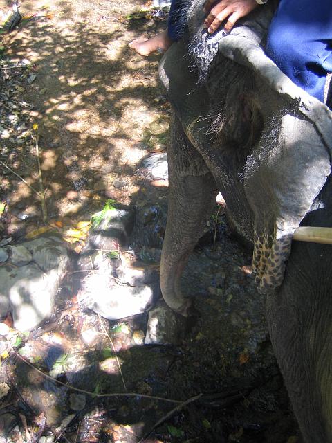 IMG_1414.jpg
