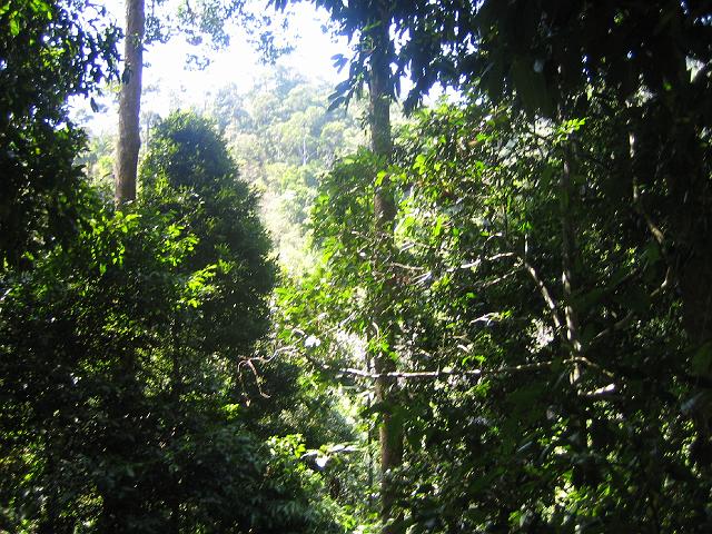 IMG_1424.jpg