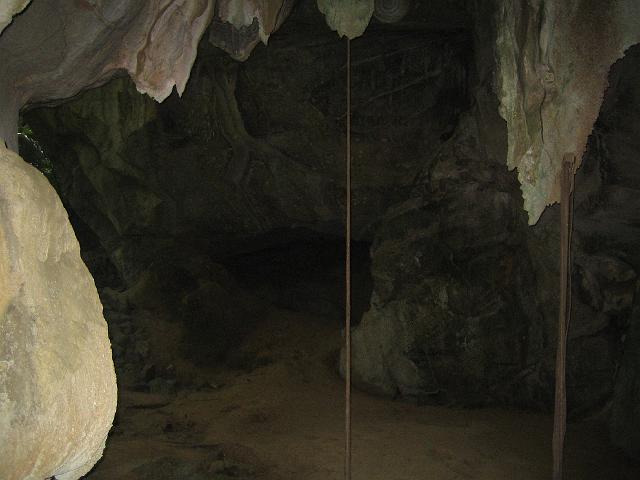 IMG_1454.jpg