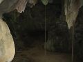 IMG_1454