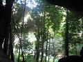 IMG_1459