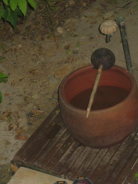 IMG_1513.jpg