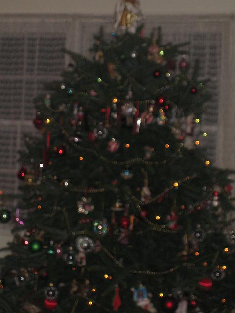 IMG_2679.jpg