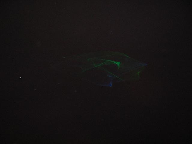 163-6321_IMG.jpg