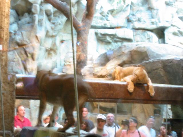 164-6417_IMG.jpg