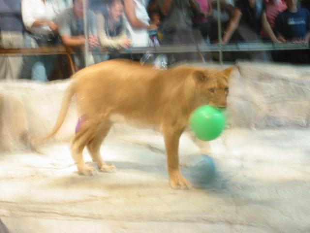 164-6419_IMG.jpg
