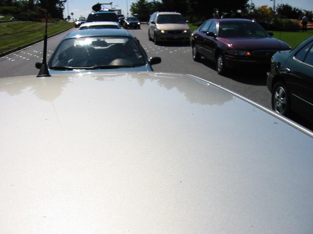 164-6449_IMG.jpg