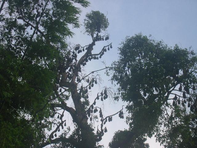168-6896_IMG.jpg