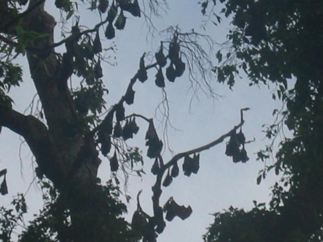 168-6897_IMG.jpg