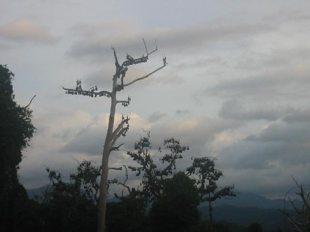 168-6899_IMG.jpg