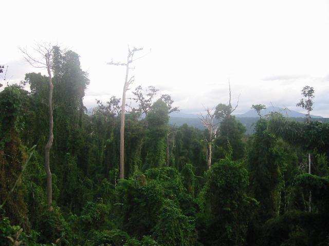 169-6901_IMG.jpg