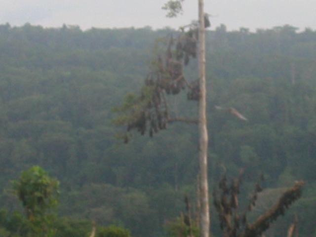 169-6902_IMG.jpg