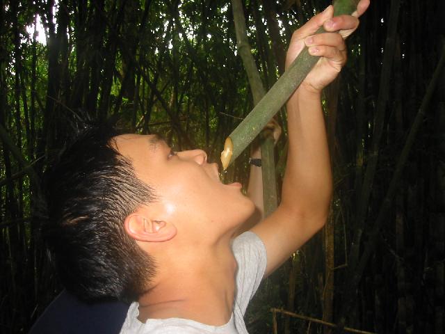 169-6909_IMG.jpg