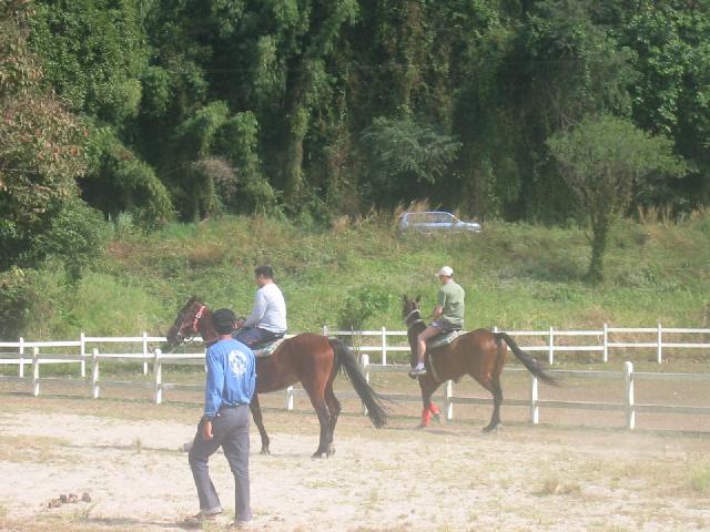 169-6932_IMG.jpg