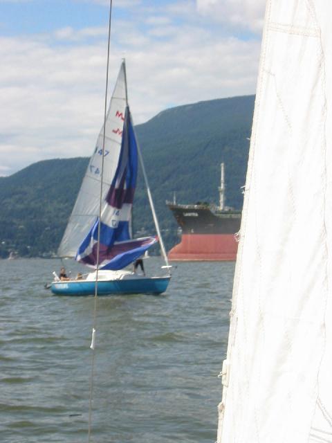 175-7528_IMG.jpg