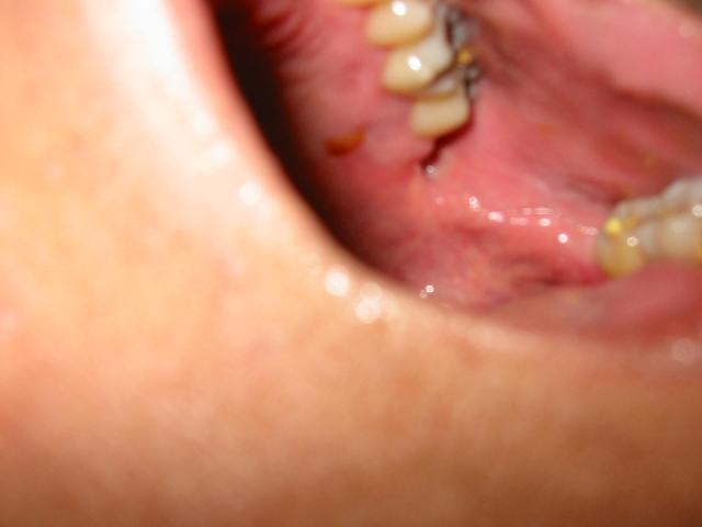 176-7697_IMG.jpg