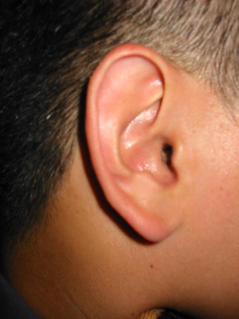 177-7701_IMG.jpg