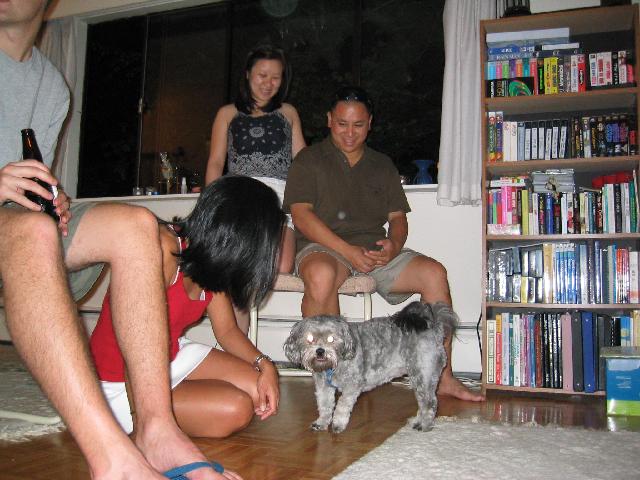 192_9231.jpg