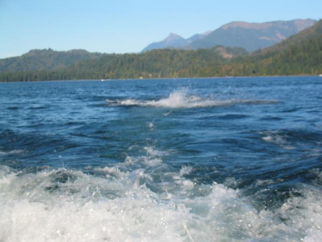 194_9426.jpg
