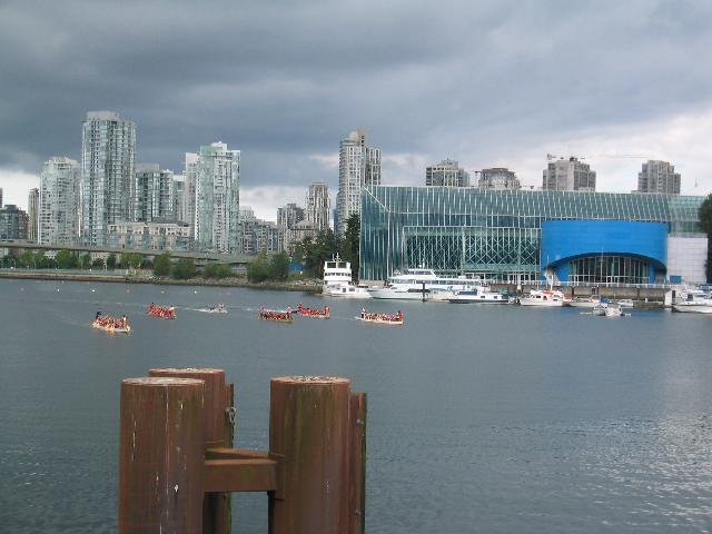 IMG_9718.jpg