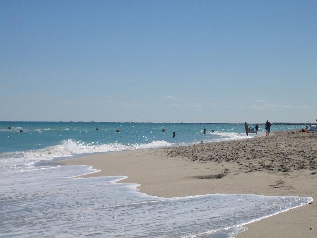 IMG_0521.jpg