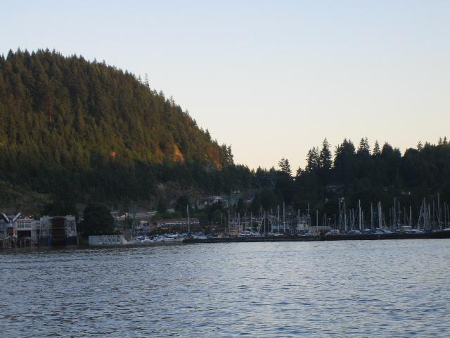 IMG_0846.jpg