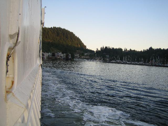IMG_0849.jpg