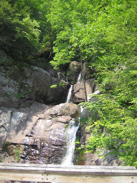 IMG_1658.jpg