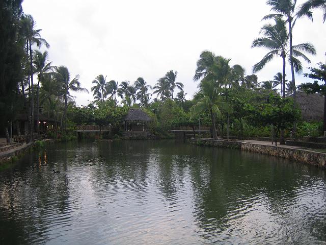 IMG_2016.jpg