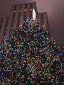 IMG_2656