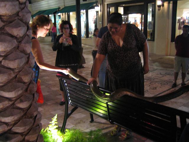 IMG_2818.jpg