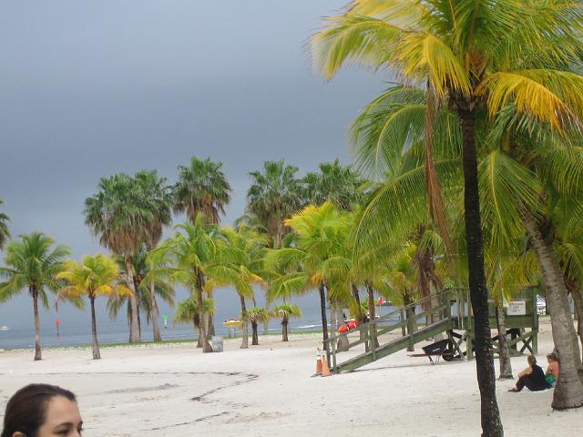 IMG_2832.jpg