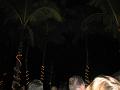 IMG_2849
